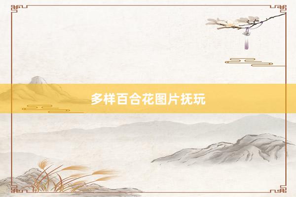 多样百合花图片抚玩