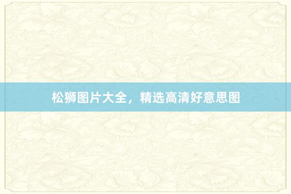 松狮图片大全，精选高清好意思图