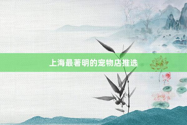 上海最著明的宠物店推选