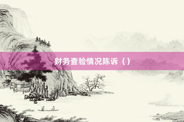 财务查验情况陈诉（）